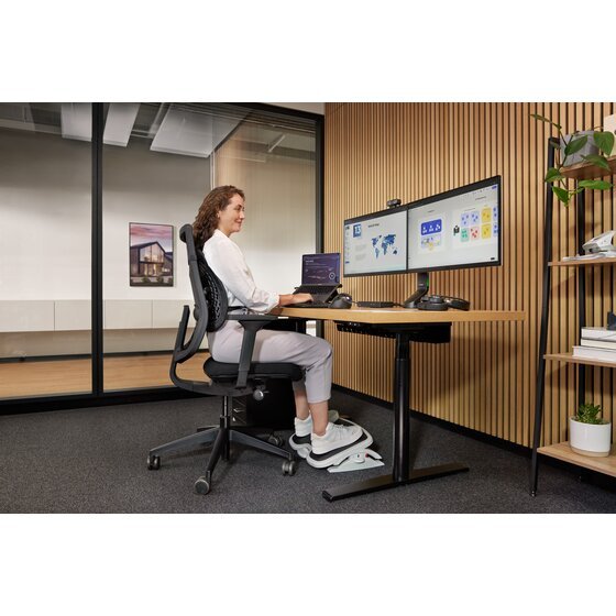Kensington K60412WW SmartFit Conform Back Rest