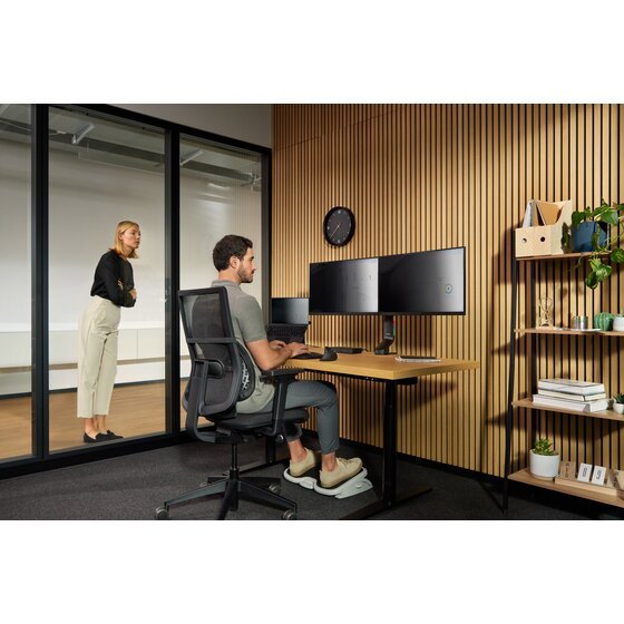 Kensington K60412WW SmartFit Conform Back Rest
