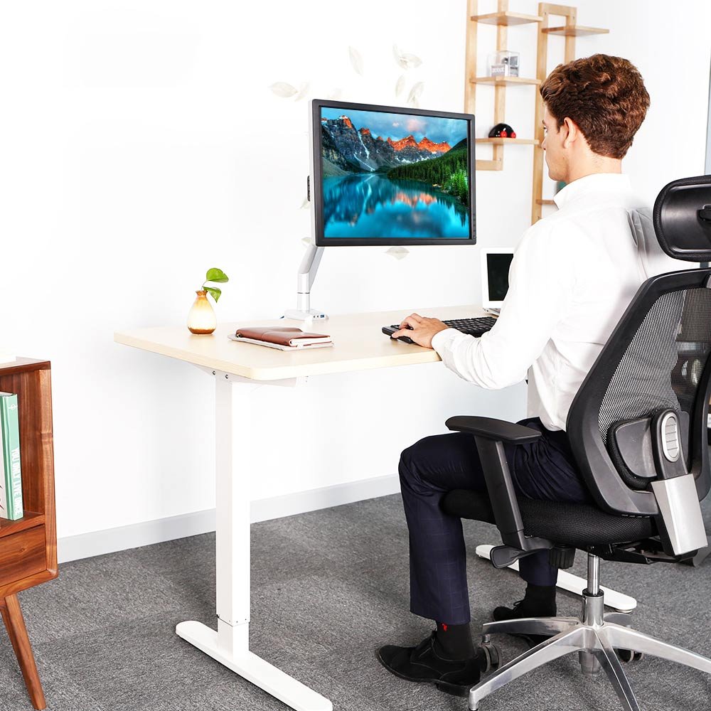 Loctek D7A Desk Mount Gas Spring Single Monitor Arm