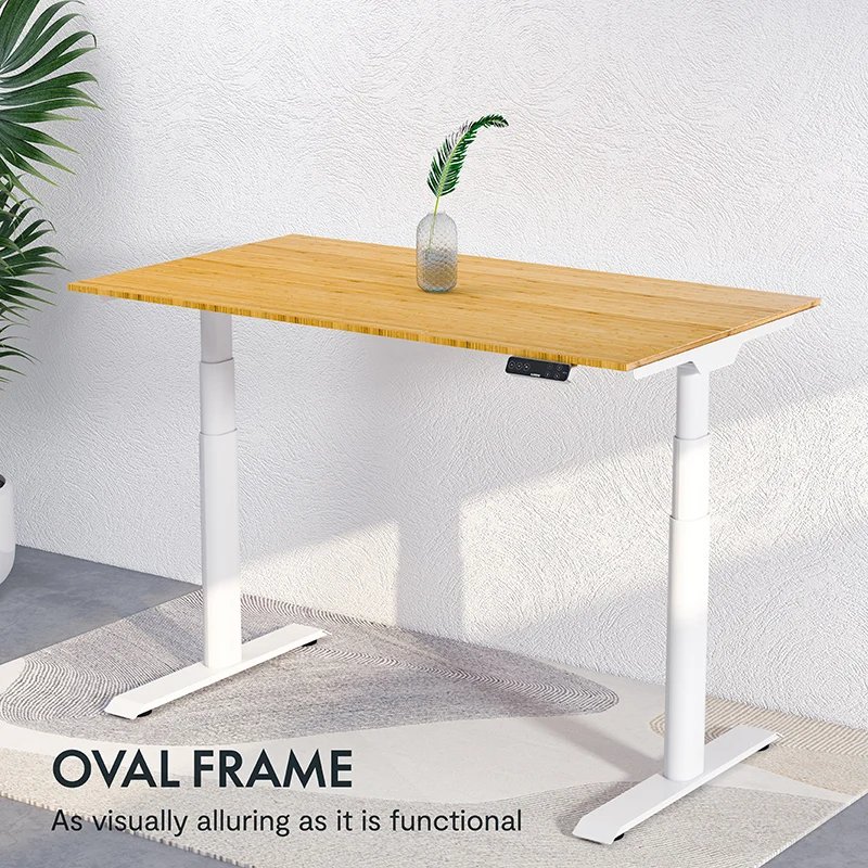 Flexispot E7 Electric Height Adjustable Premium Standing Desk