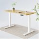 Flexispot E7 Electric Height Adjustable Premium Standing Desk