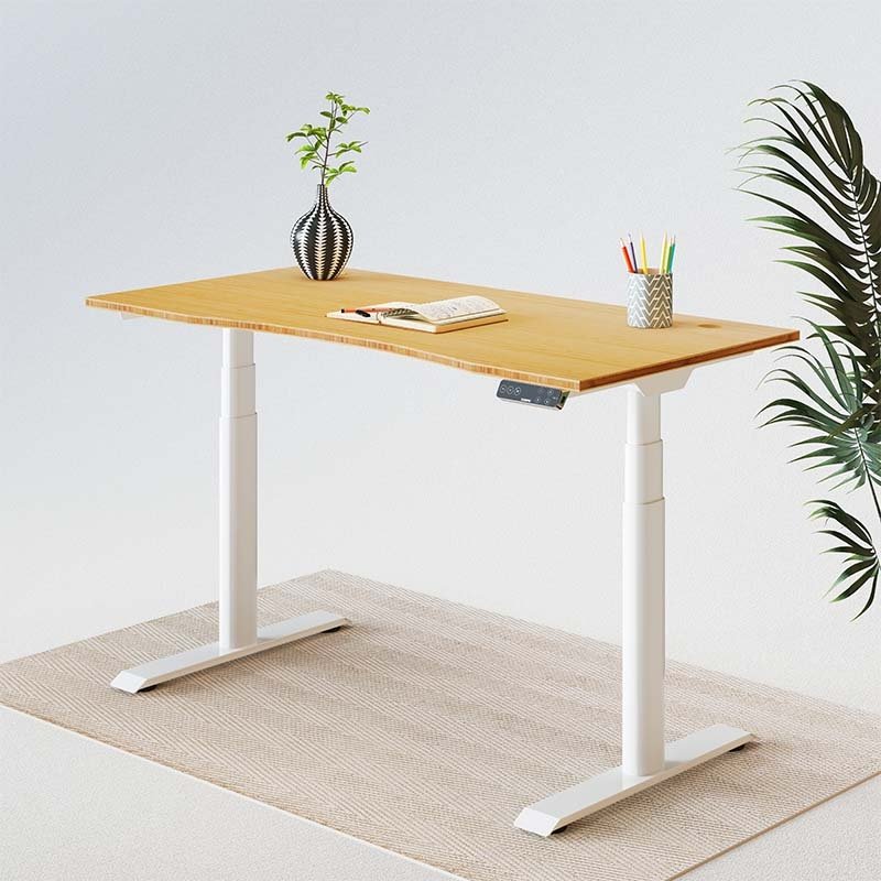 Flexispot E8 Oval Shaped Electric Height Adjustable Desk