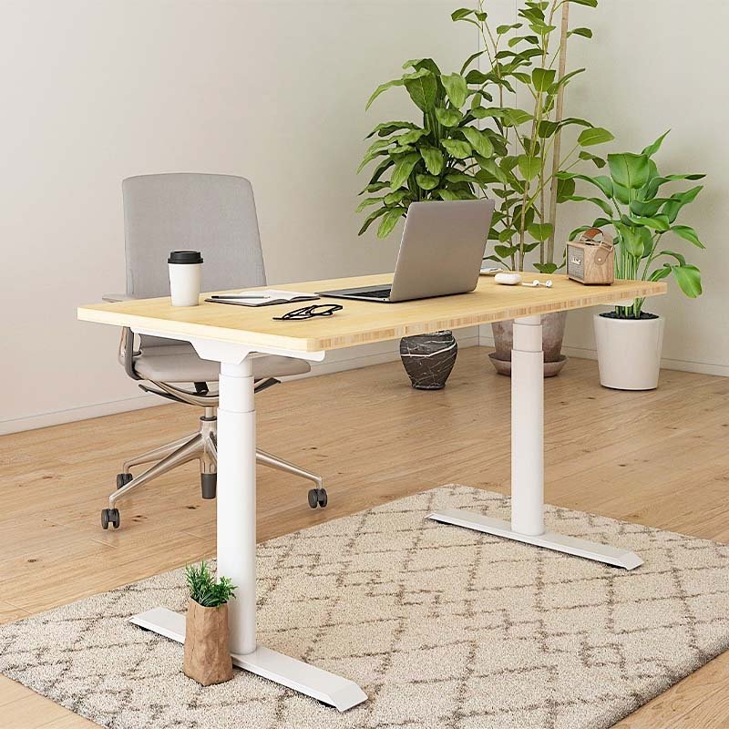 Flexispot E8 Oval Shaped Electric Height Adjustable Desk