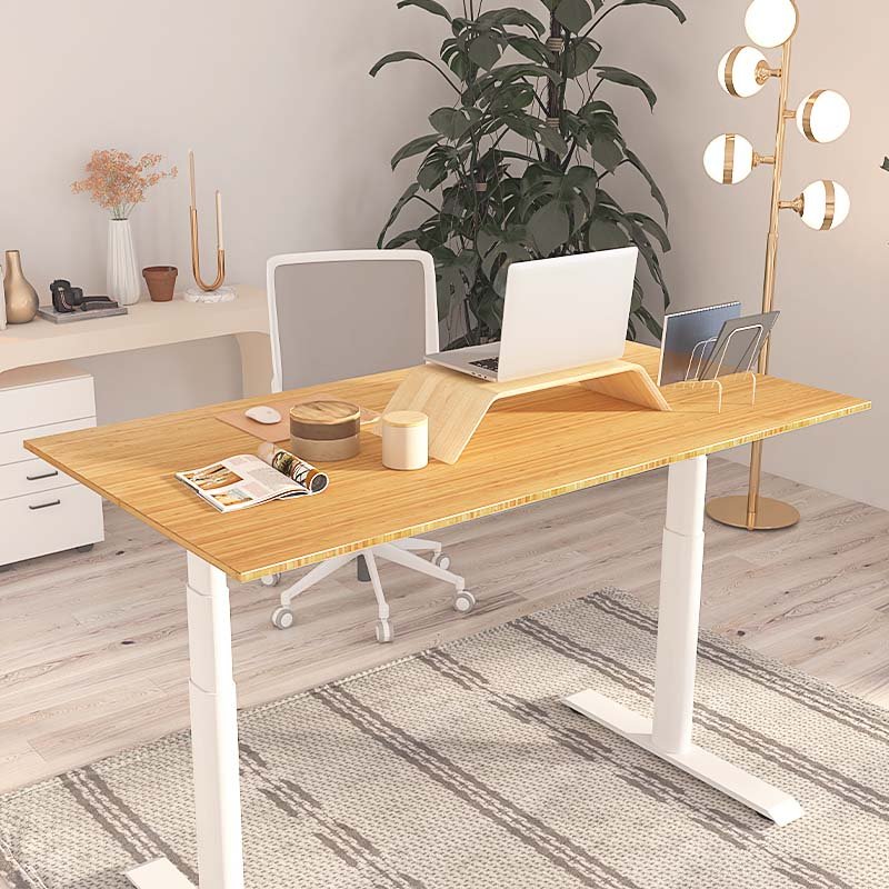 Flexispot E8 Oval Shaped Electric Height Adjustable Desk