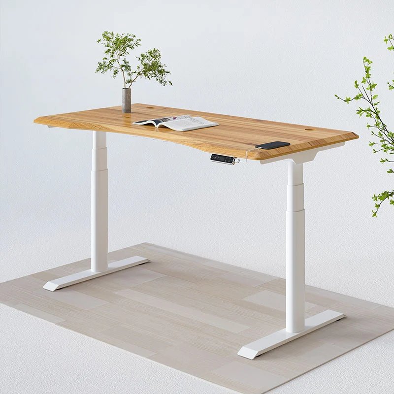 Flexispot E8 Oval Shaped Electric Height Adjustable Desk