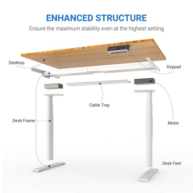 Flexispot E8 Oval Shaped Electric Height Adjustable Desk