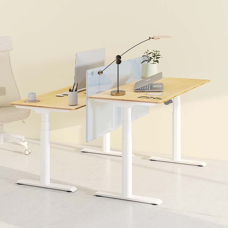 Flexispot E8 Oval Shaped Electric Height Adjustable Desk