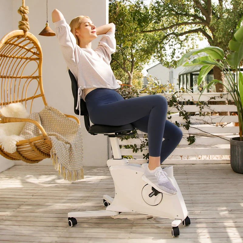 Flexispot FC211 F1 Sit2Go 2-in-1 Fitness Chair