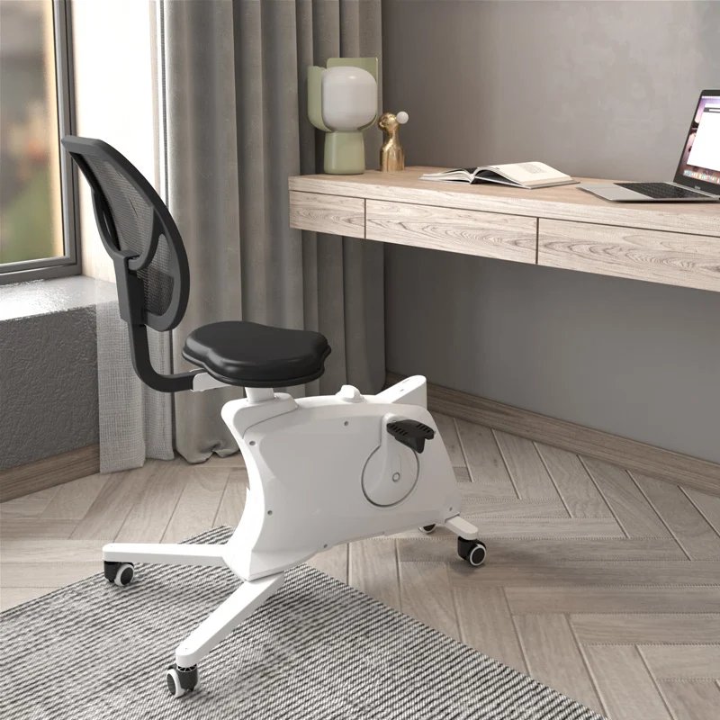 Flexispot FC211 F1 Sit2Go 2-in-1 Fitness Chair