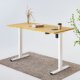 Flexispot E1 Electric Height Adjustable Standing Desk
