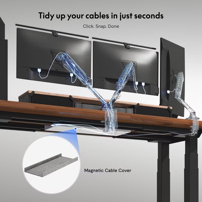 Flexispot E7 Plus Max Premium 4-leg Standing Desk