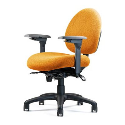 Neutral Posture 5000 Series Ergonomic Office Task Chair