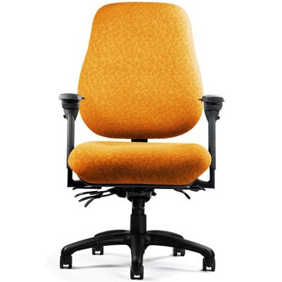 Neutral Posture 6000 Series Executive Ergonomic Task Chair