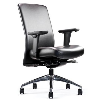 Neutral Posture Balance Executive, Conference and Task Chair