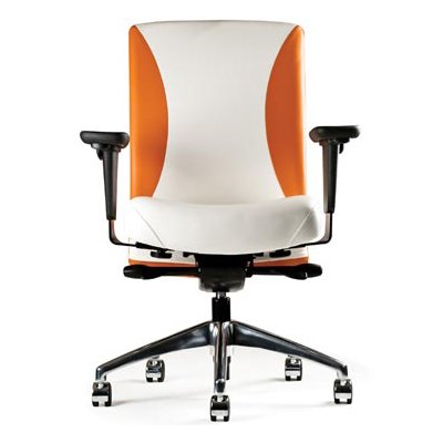 Neutral Posture Balance Executive, Conference and Task Chair