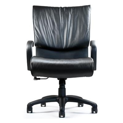 Neutral Posture Embrace Executive, Conference and Task Chair