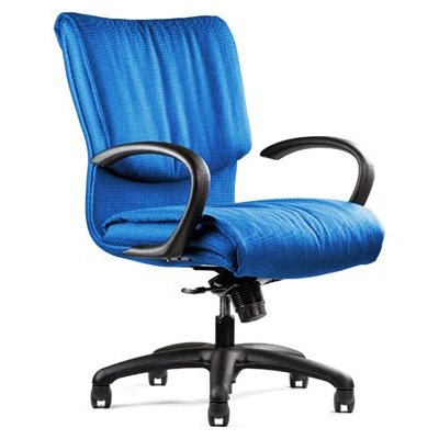Neutral Posture Embrace Executive, Conference and Task Chair