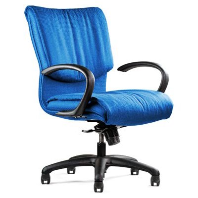 Neutral Posture Embrace Executive, Conference and Task Chair