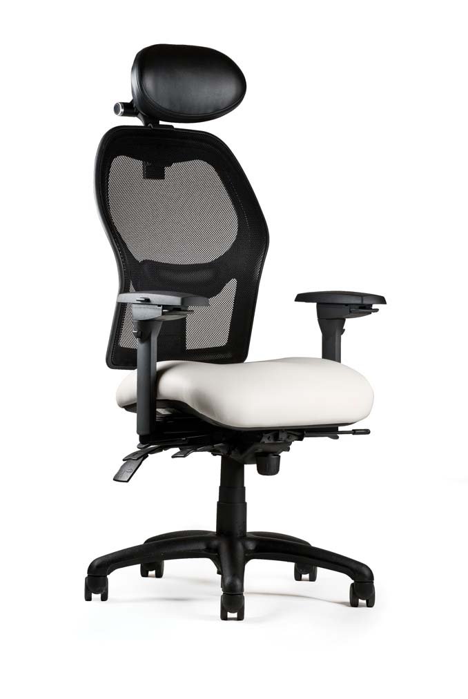 Neutral Posture 1000 Series Multi-Tasking Mesh Back Chair