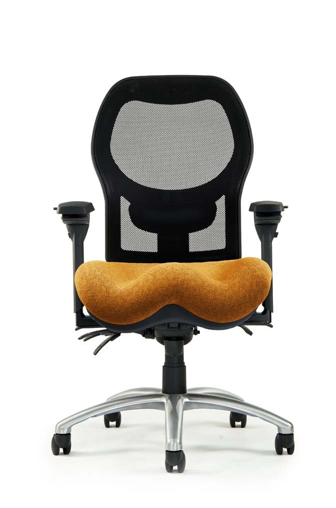 Neutral Posture 1000 Series Multi-Tasking Mesh Back Chair