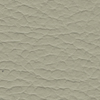 Bone LV06