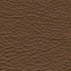 Ginger LV05