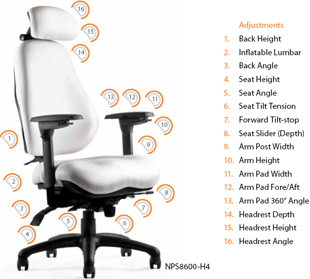 What are the features of an ergonomically designed chair for correct posture ?