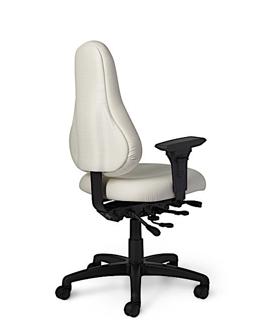 Back View - DB68 Discovery Back Ergonomic Office Chair