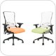 Ergonomic Office Chairs