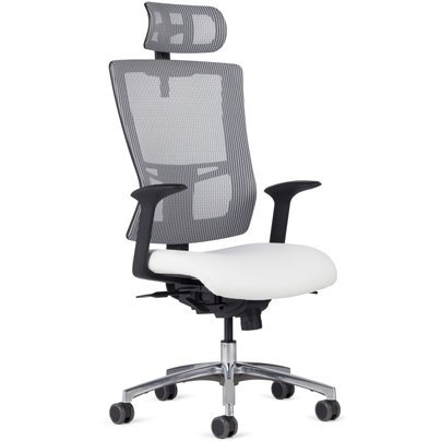 Office Master Affirm AF519 in Starlight Silver Mesh Back