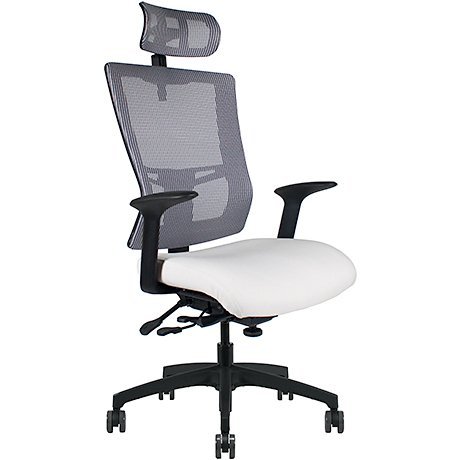 Office Master Affirm AF589 in Starlight Silver Mesh Back