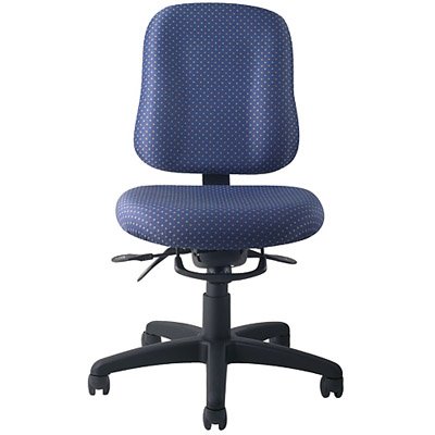 PT72N Low Back Ergonomic Office Master Chair