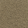 Office Master Grade 5 Comfortknit Solids 5506 Cappucino
