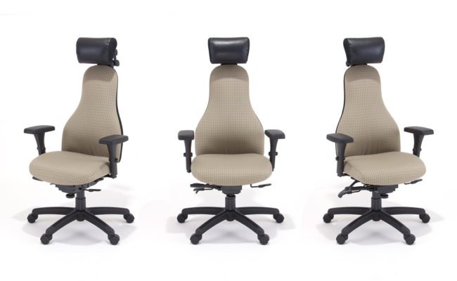 RFM Carmel Managers High Back Multi-Function Ergonomic Chair