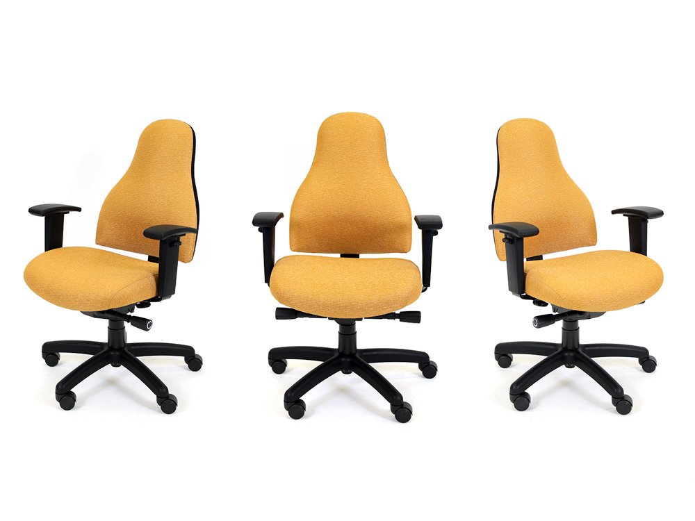 RFM Carmel Medium Back Multi-Function Ergonomic Task Chair 