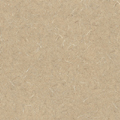 Laminate Top Color - SL20 Natural Tigris