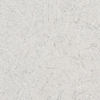 WT - White Tigris
