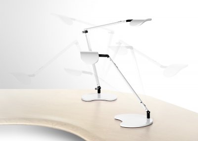 Single and Dual Arm (Shown) Astra LED light By Workrite