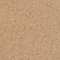 Coriander_Fiber.jpg