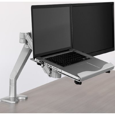Willow Dual with laptop