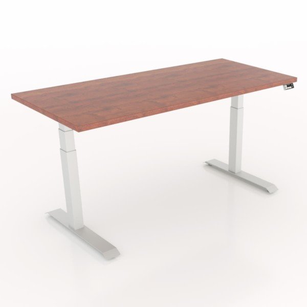 Workrite Essentia Electric Rectangular 2 Leg Workcenter