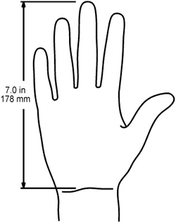 Evoluent VM4S Hand Size