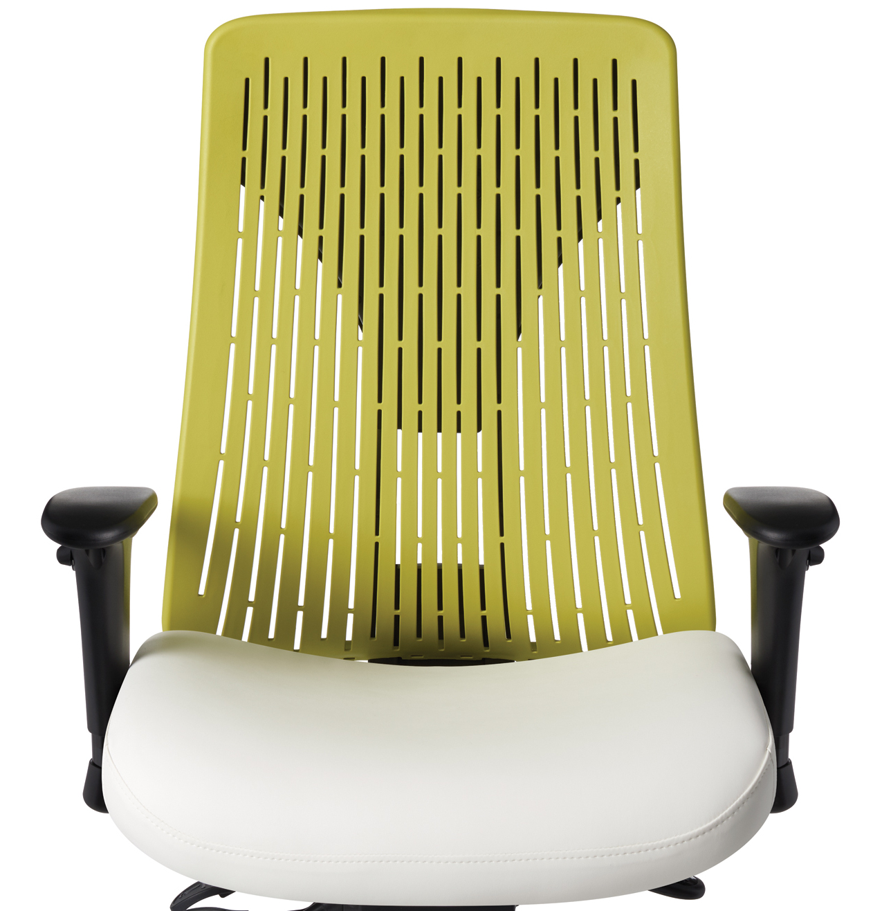 Lemongrass PolyFlex Backrest - GN02