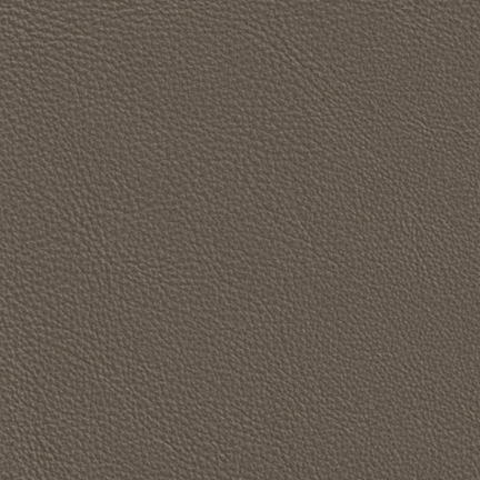 LG2 - Lena Leather Performance Wrap - LDEL Delphina