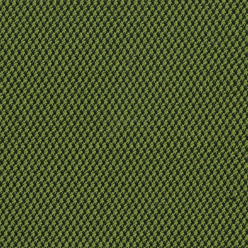 Grade 1: FT - Fourtis: Clover (FT49)