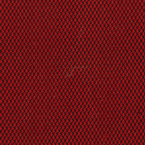 Grade 1: FT - Fourtis: Winterberry (FT78)