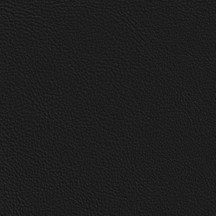 LG2: Lena LORC Orca - Leather