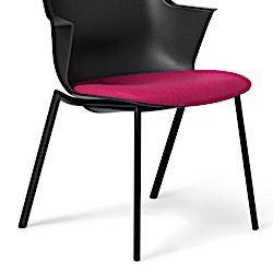 Black Powdered Frame ( Standard) - BLK