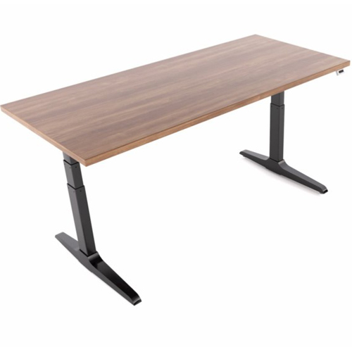 Full Desk with Desktop