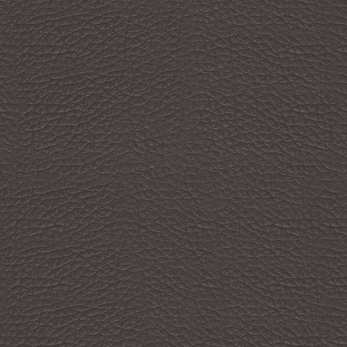 Grade A - Pauly ( ExpressShip Fabric) - Cafe